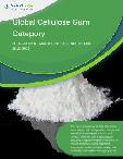 Global Cellulose Gum Category - Procurement Market Intelligence Report