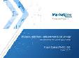Russian Federation - Telecommunication Services: Mature market with growth opportunities (Strategy, Performance and Risk Analysis)