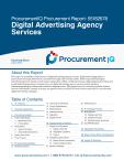 Digital Advertising Agency Services in the US - Procurement Research Report