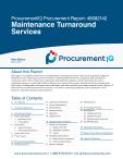 Maintenance Turnaround Services in the US - Procurement Research Report