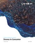 Consumer Goods Distribution: Unmanned Aerial Vehicles Approach