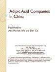 Assessment of Chinese Firms within the Adipic Acid Industry