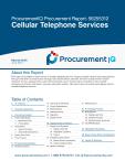 Cellular Telephone Services in the US - Procurement Research Report