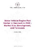 Motor Vehicle Engine Part Market in Denmark to 2020 - Market Size, Development, and Forecasts