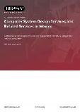 Computer System Design Services and Related Services in Mexico - Industry Market Research Report