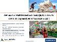 Vietnam Foodstuff Distribution Industry : An Analysis 