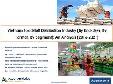 Vietnam Foodstuff Distribution Industry : An Analysis