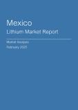  Mexico Lithium Market Report- Q4 2024