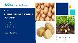 Potato Market - Growth, Trends, COVID-19 Impact, and Forecasts (2022 - 2027)