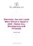 Electricity, Gas and Liquid Meter Market in Japan to 2020 - Market Size, Development, and Forecasts