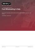 Fuel Wholesaling in Italy - Industry Market Research Report