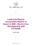 Lead-Acid Electric Accumulator Market in Egypt to 2020 - Market Size, Development, and Forecasts