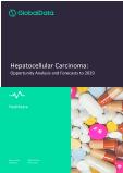 Hepatocellular Carcinoma - Opportunity Analysis and Forecasts to 2029