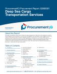 Deep Sea Cargo Transportation Services in the US - Procurement Research Report