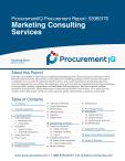 Marketing Consulting Services in the US - Procurement Research Report