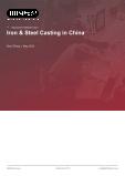Iron & Steel Casting in China - Industry Market Research Report