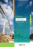 China Crane Market - Strategic Assessment & Forecast 2021-2027