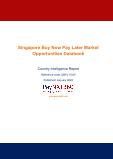 Singapore Buy Now Pay Later Business and Investment Opportunities – 75+ KPIs on Buy Now Pay Later Trends by End-Use Sectors, Operational KPIs, Market Share, Retail Product Dynamics, and Consumer Demographics - Q1 2022 Update
