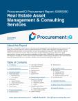 Real Estate Asset Management & Consulting Services in the US - Procurement Research Report