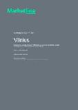 Vilnius - Comprehensive Overview of the City, Pest Analysis and Analysis of Key Industries including Technology, Tourism and Hospitality, Construction and Retail