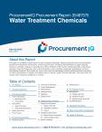 Water Treatment Chemicals in the US - Procurement Research Report