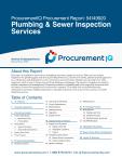 Plumbing & Sewer Inspection Services in the US - Procurement Research Report