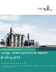 Syngas Chemicals Global Market Briefing 2018