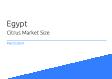 Citrus Egypt Market Size 2023