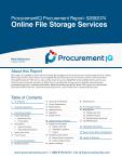 Online File Storage Services in the US - Procurement Research Report