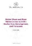 Nickel Sheet and Plate Market in Iran to 2020 - Market Size, Development, and Forecasts