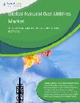 Global Natural Gas Utilities Category - Procurement Market Intelligence Report