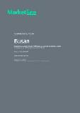 Busan - Comprehensive Overview of the City, Pest Analysis and Analysis of Key Industries including Technology, Tourism and Hospitality, Construction and Retail