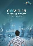 COVID-19 Impact on Analytics Market by Components, Verticals and Region - Global Forecast to 2021