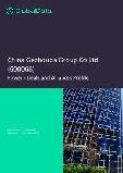 China Gezhouba Group Co Ltd (600068) - Power - Deals and Alliances Profile