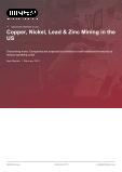 Copper, Nickel, Lead & Zinc Mining in the US - Industry Market Research Report