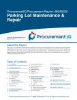 Parking Lot Maintenance & Repair in the US - Procurement Research Report