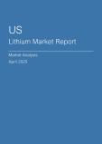  US Lithium Market Report- Q1 2025