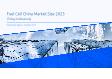 Fuel Cell China Market Size 2023