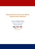 Norway Buy Now Pay Later Business and Investment Opportunities (2019-2028) Databook – 75+ KPIs on Buy Now Pay Later Trends by End-Use Sectors, Operational KPIs, Market Share, Retail Product Dynamics, and Consumer Demographics