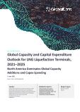 Global Capacity and Capital Expenditure Outlook for LNG Liquefaction Terminals to 2025 - North America Dominates Global Capacity Additions and Capex Spending