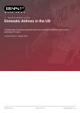 Domestic Airlines in the US - Industry Market Research Report