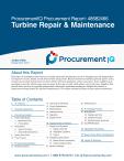 Turbine Repair & Maintenance in the US - Procurement Research Report