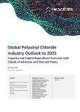 Global Polyvinyl Chloride Industry Outlook to 2025 - Capacity and Capital Expenditure Forecasts with Details of All Active and Planned Plants