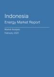  Indonesia Energy Market Report- Q4 2024