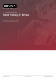 Steel Rolling in China - Industry Market Research Report