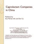 Exploration of Caprolactam Corporations Within Chinese Territory