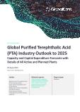Global Purified Terephthalic Acid (PTA) Industry Outlook to 2025 - Capacity and Capital Expenditure Forecasts with Details of All Active and Planned Plants