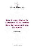 Hair Product Market in Panama to 2020 - Market Size, Development, and Forecasts