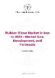 Iran's 2020 Rubber Glove Sector Analysis: Extent, Growth, and Expectations