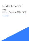 North America Pulp Market Overview